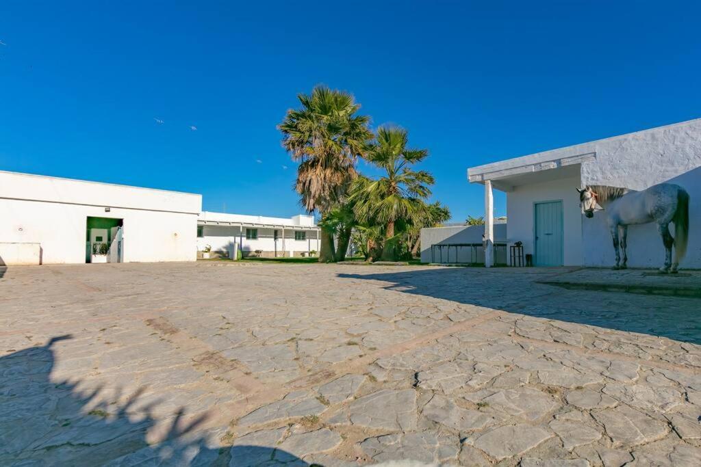 Habitaciones Rurales La Vega Tarifa Eksteriør bilde