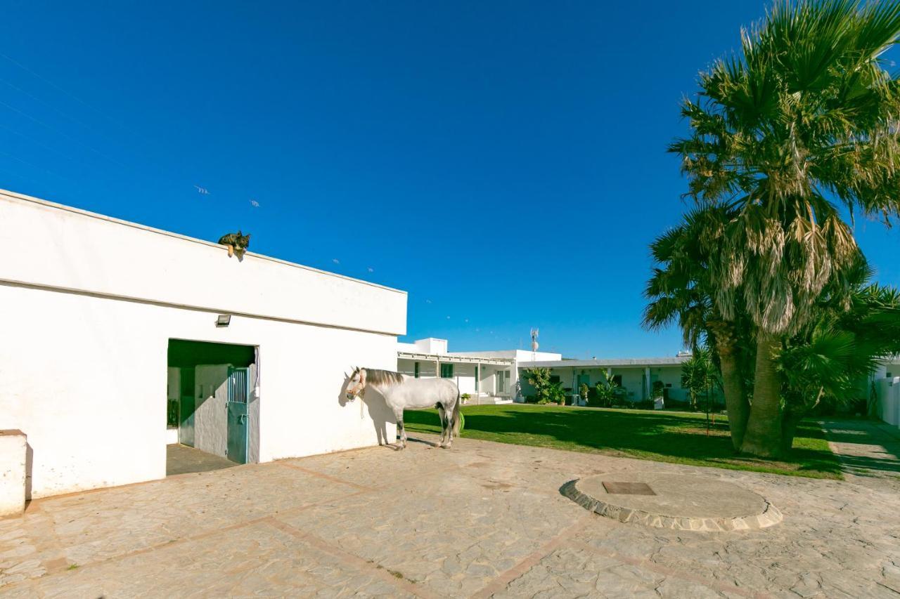 Habitaciones Rurales La Vega Tarifa Eksteriør bilde